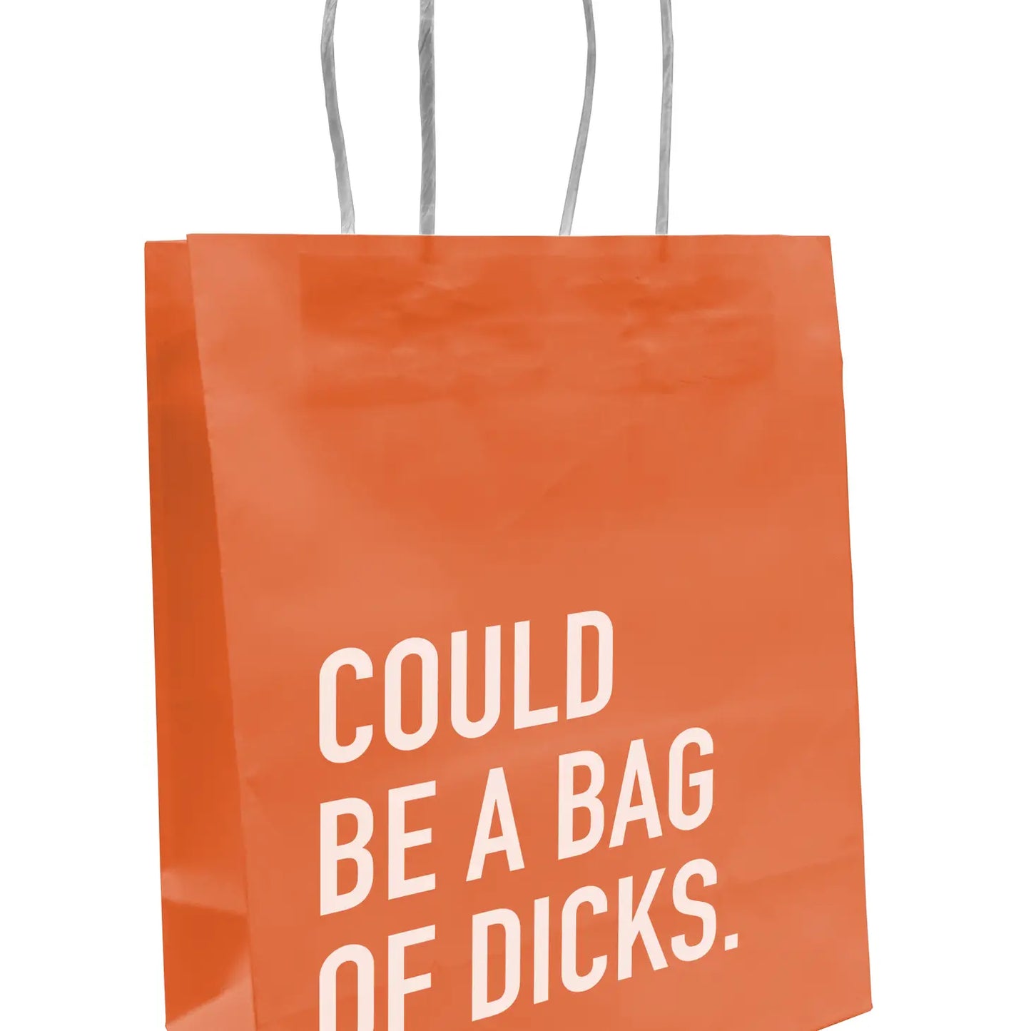 Hilarious Paper Gift Bags