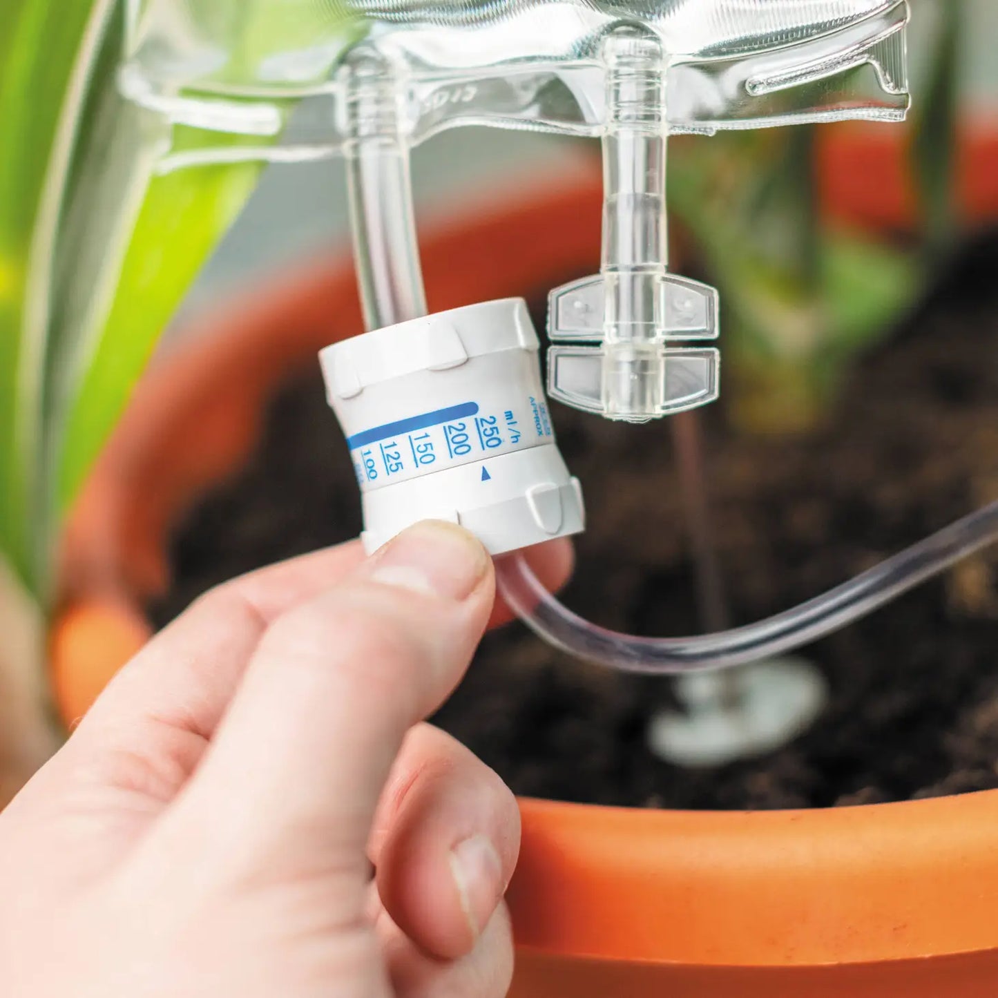 Plant Life Support - IV Drip for your Houseplant!